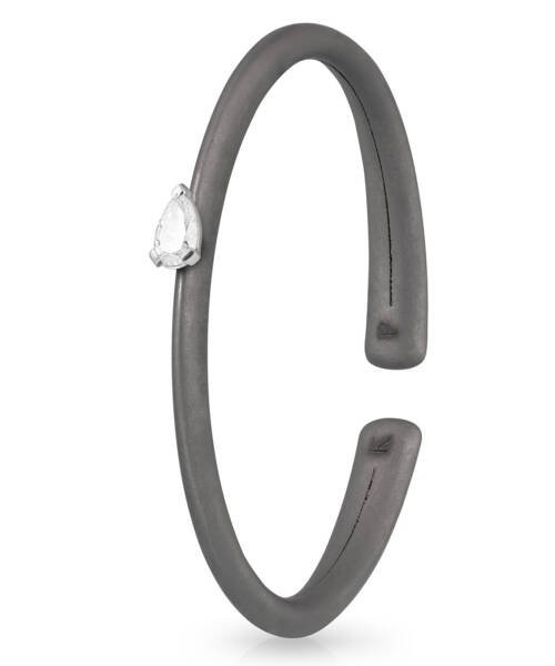 Titaan & Tilgakujuline Teemant Käevõru Hall